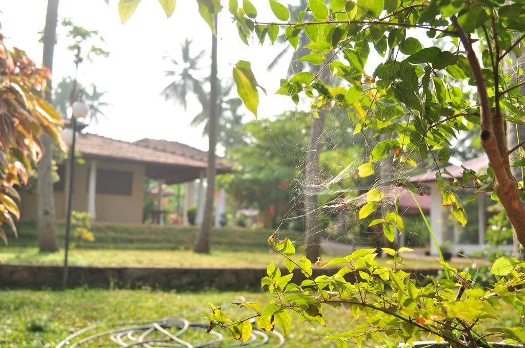 Soba Lanka Holiday Resort Melsiripura Экстерьер фото