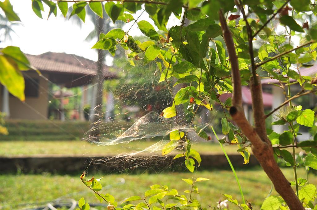 Soba Lanka Holiday Resort Melsiripura Экстерьер фото
