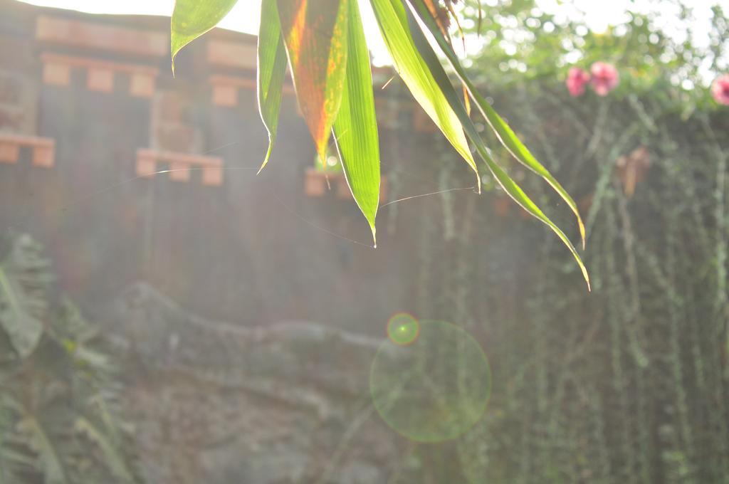 Soba Lanka Holiday Resort Melsiripura Экстерьер фото