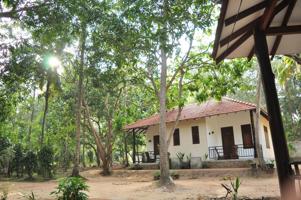 Soba Lanka Holiday Resort Melsiripura Экстерьер фото