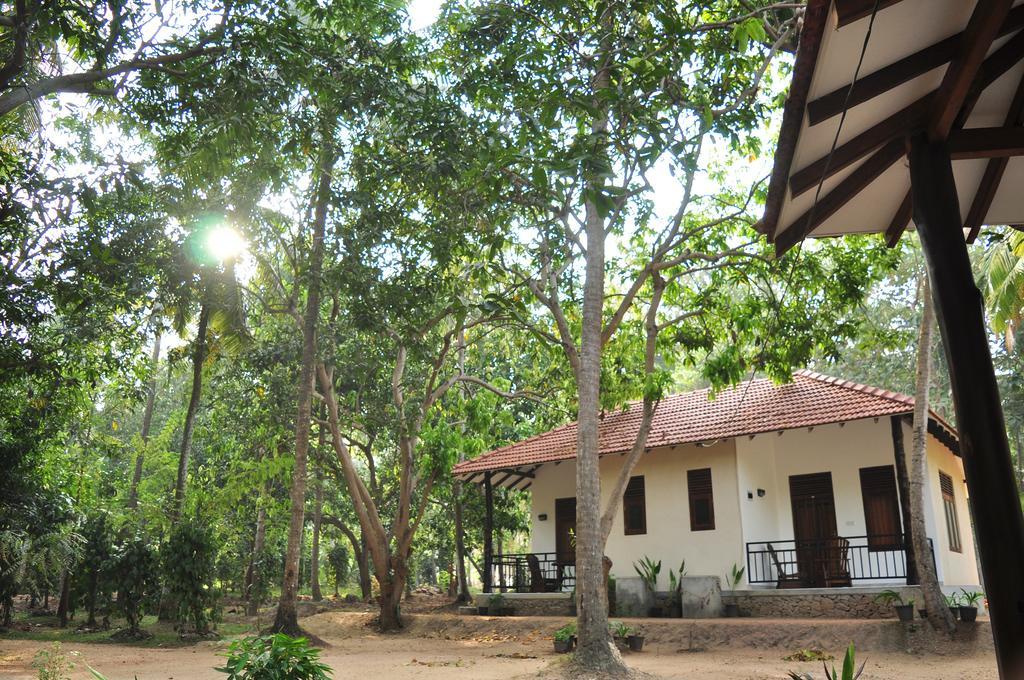 Soba Lanka Holiday Resort Melsiripura Экстерьер фото
