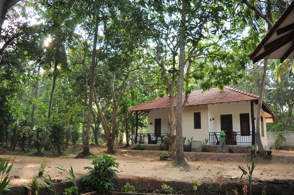 Soba Lanka Holiday Resort Melsiripura Экстерьер фото