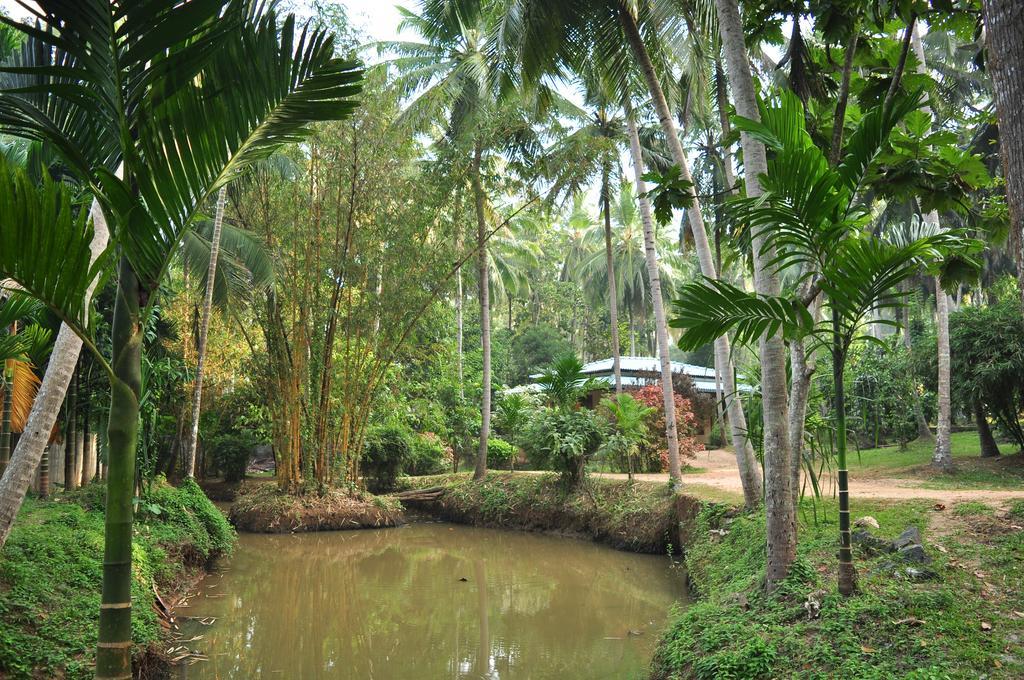 Soba Lanka Holiday Resort Melsiripura Экстерьер фото