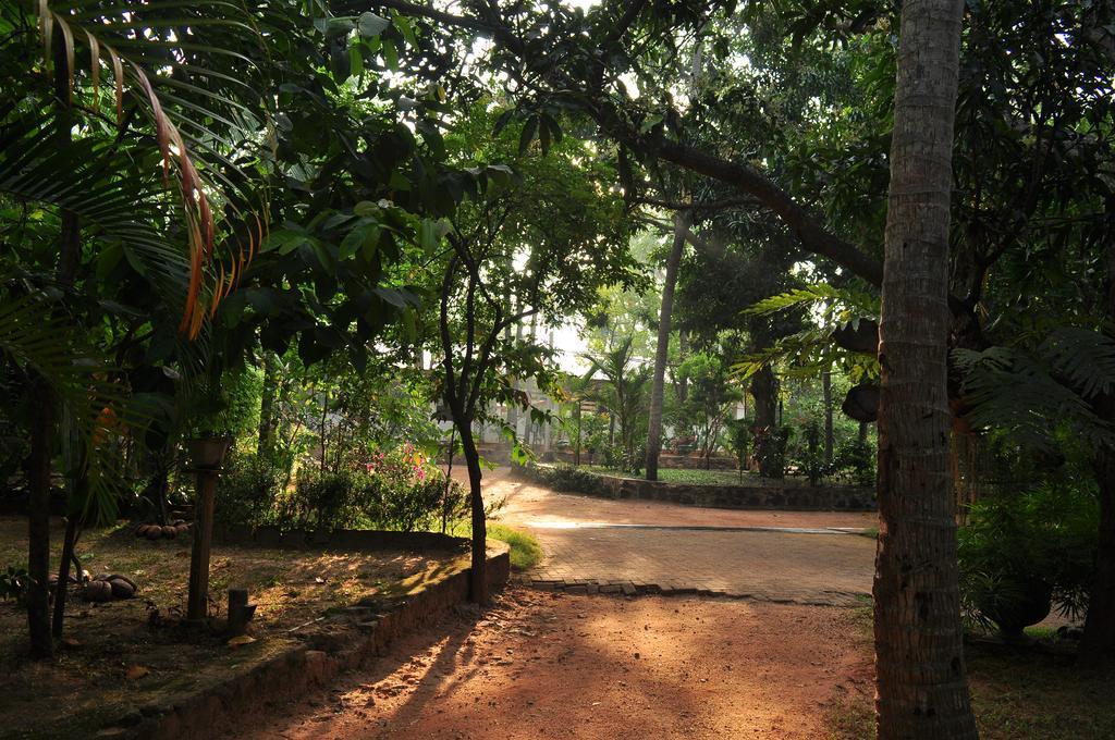 Soba Lanka Holiday Resort Melsiripura Экстерьер фото