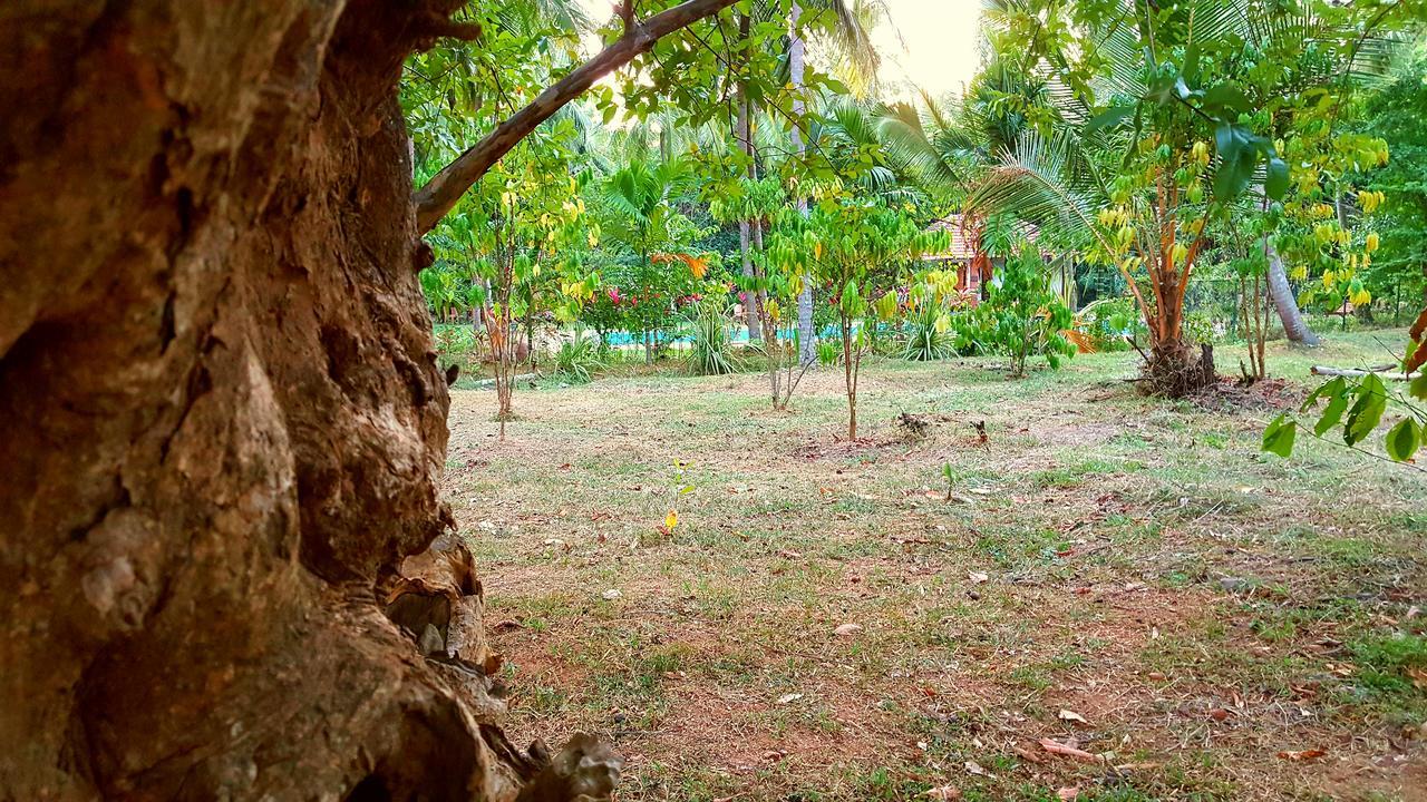 Soba Lanka Holiday Resort Melsiripura Экстерьер фото