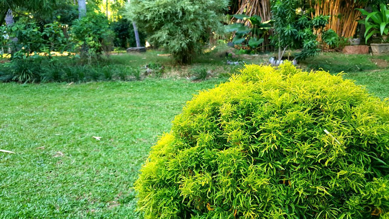 Soba Lanka Holiday Resort Melsiripura Экстерьер фото
