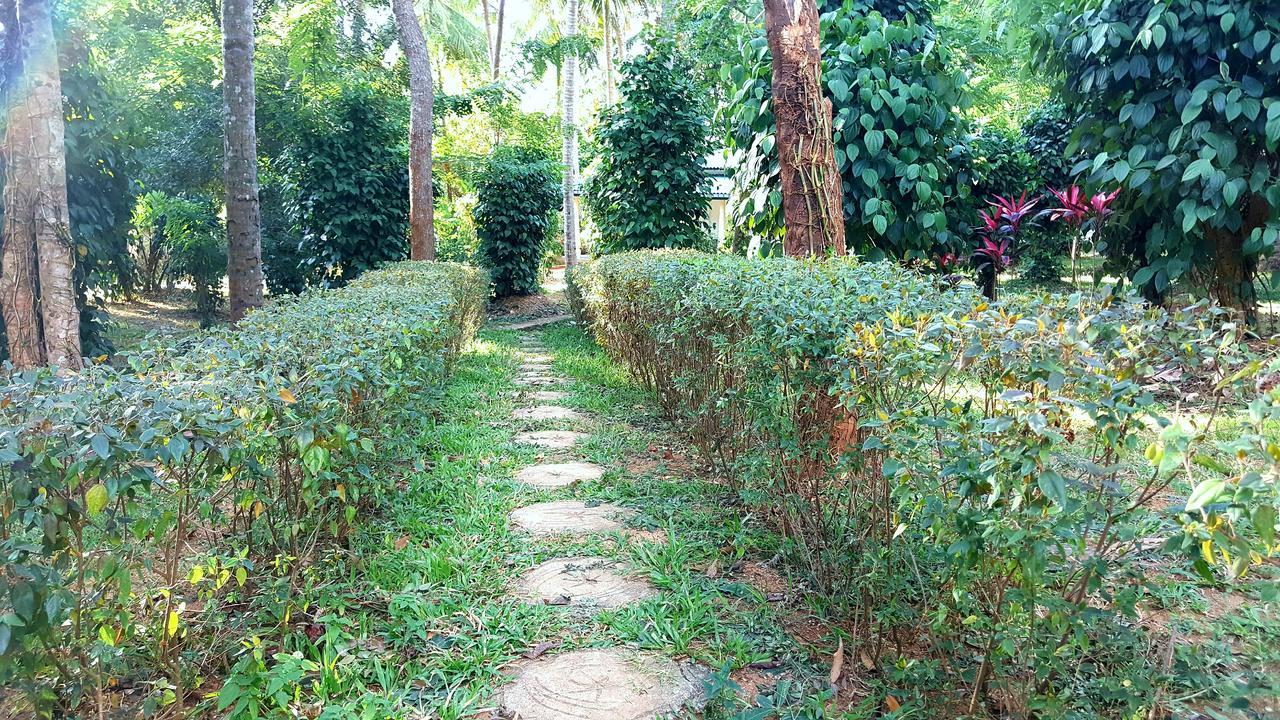 Soba Lanka Holiday Resort Melsiripura Экстерьер фото