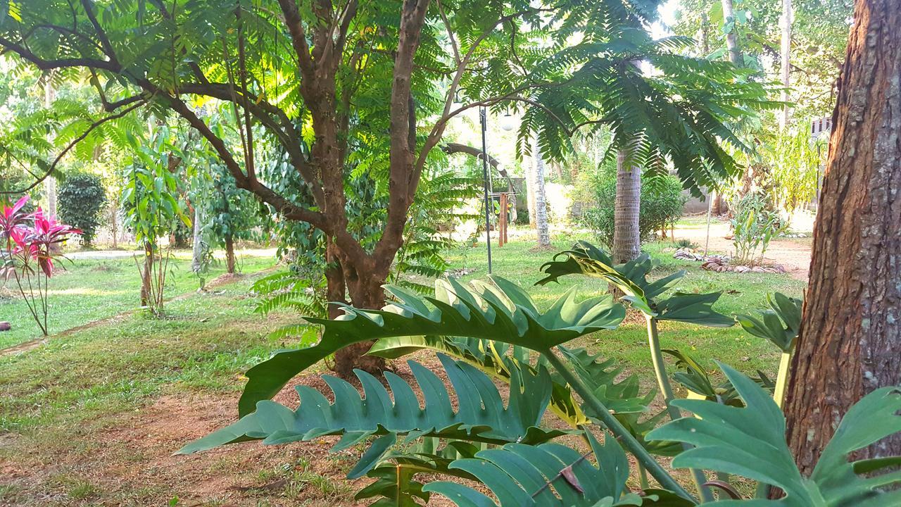 Soba Lanka Holiday Resort Melsiripura Экстерьер фото