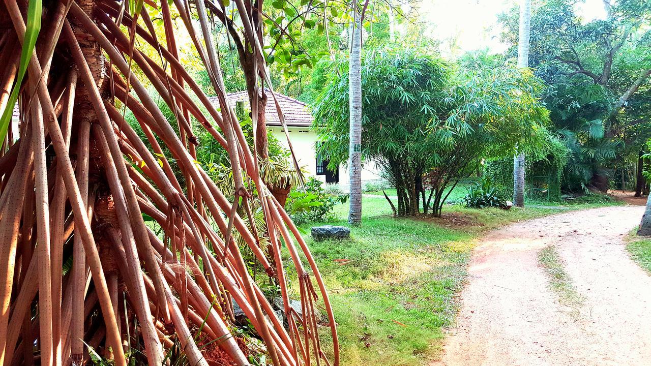 Soba Lanka Holiday Resort Melsiripura Экстерьер фото