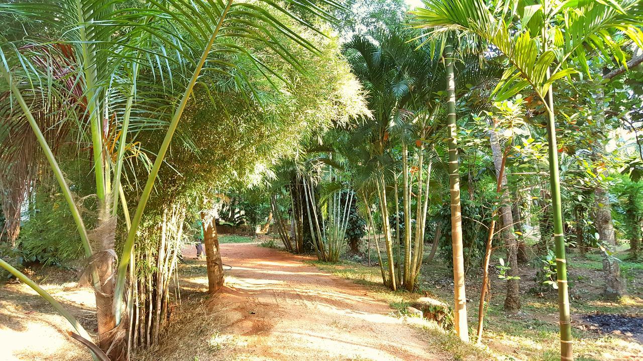 Soba Lanka Holiday Resort Melsiripura Экстерьер фото