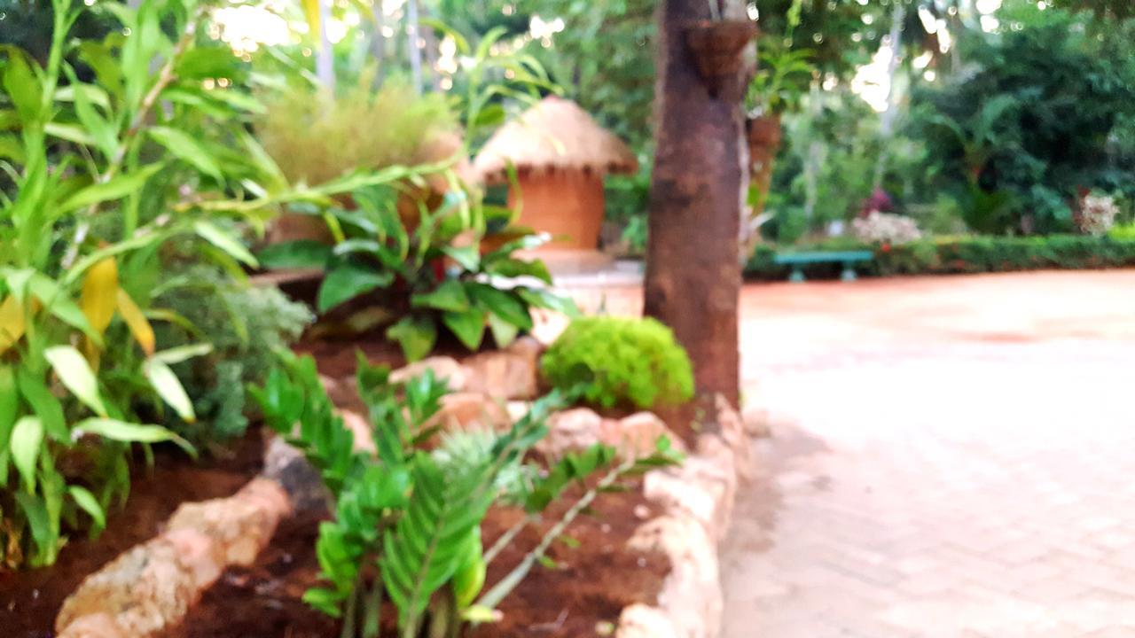 Soba Lanka Holiday Resort Melsiripura Экстерьер фото