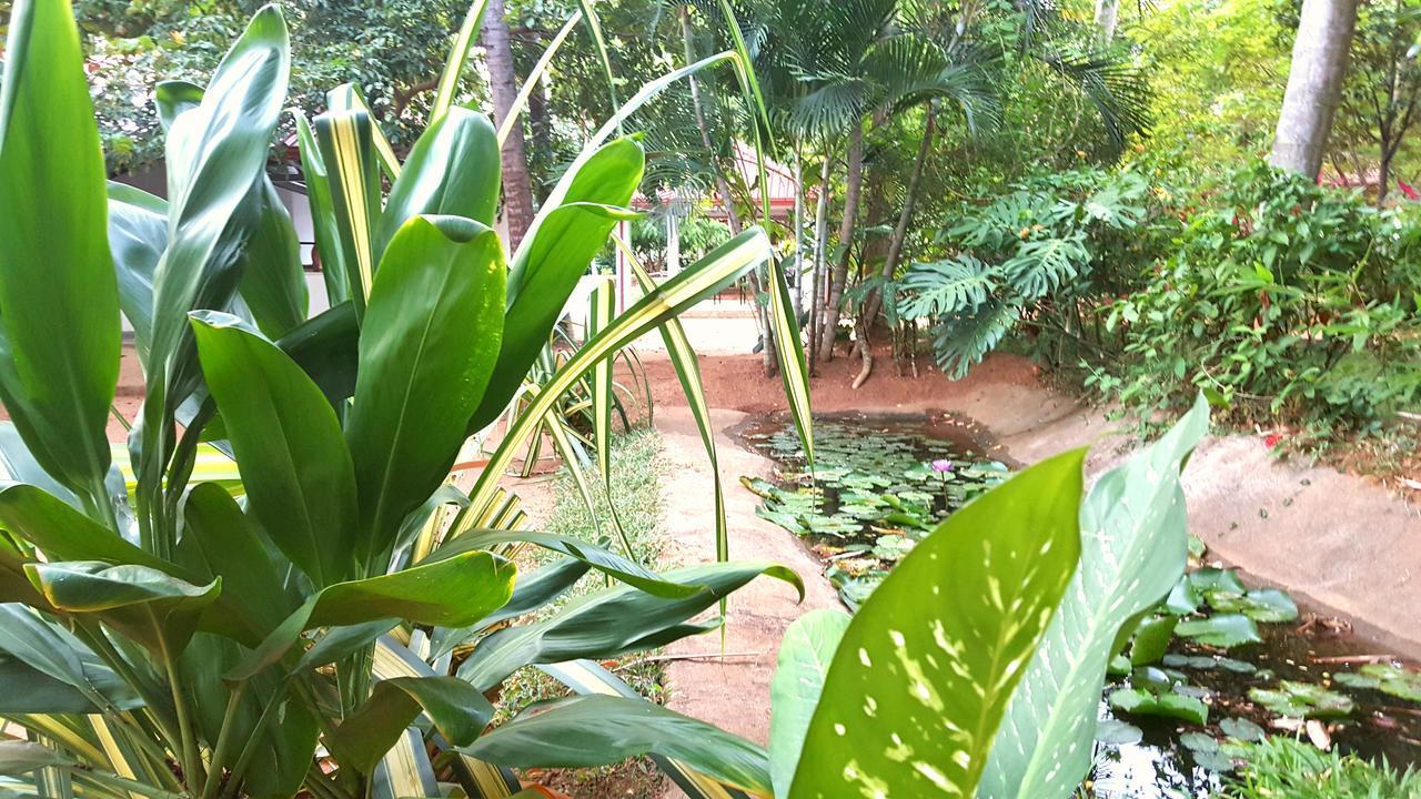 Soba Lanka Holiday Resort Melsiripura Экстерьер фото