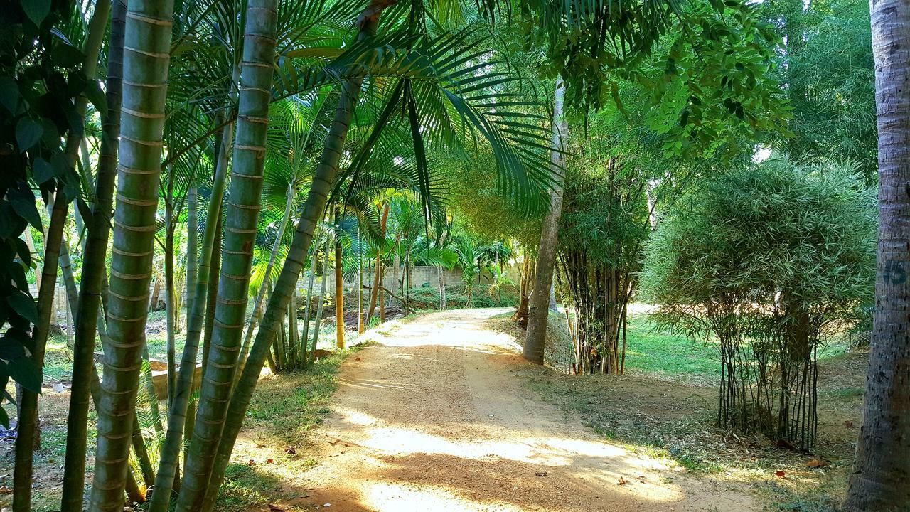 Soba Lanka Holiday Resort Melsiripura Экстерьер фото